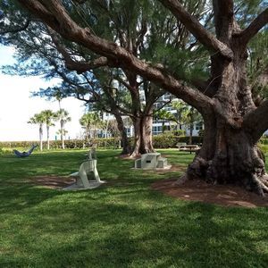 Meet your Posher, Bev